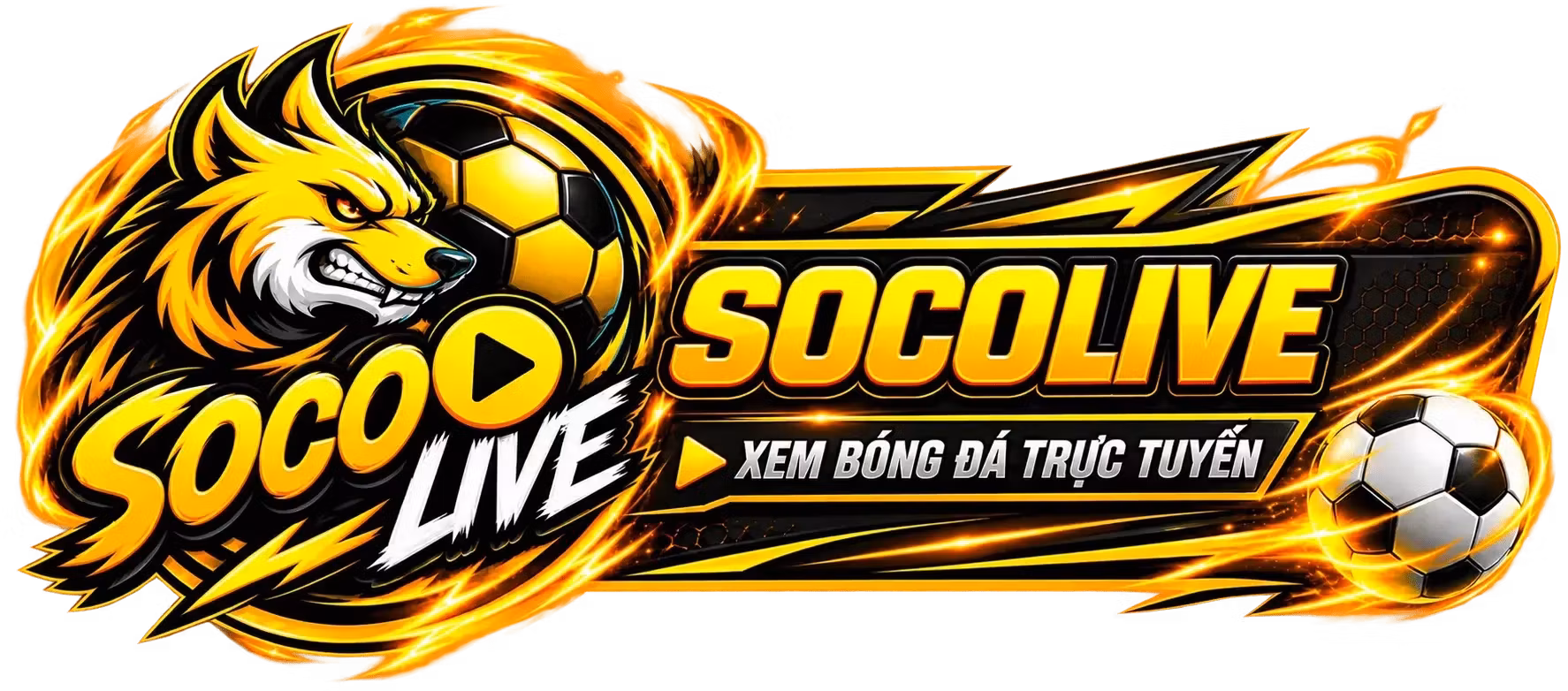 SOCOLIVE logo